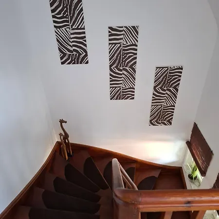 Blickpunkt شقة فيوخت